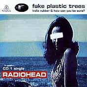 Radio Head 'Fake Plastic Trees'